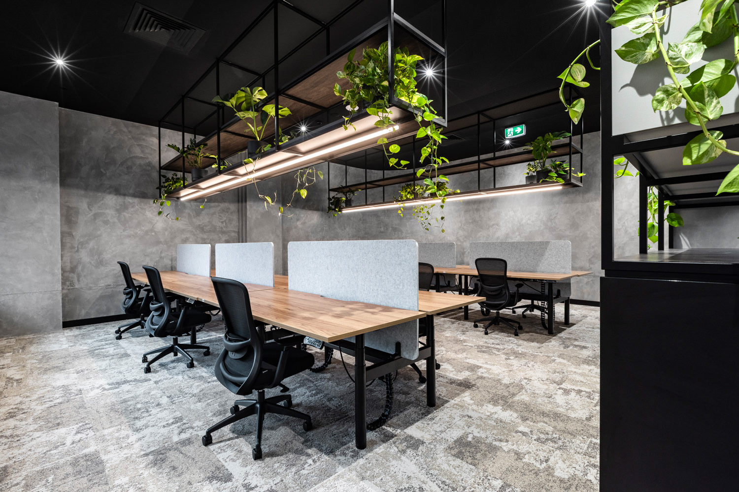 Office design and build